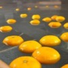 Thumbnail of related posts 126