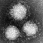 Thumbnail of post image 039